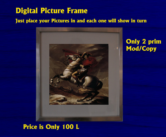 Second Life Marketplace Digital Picture Frame (Boxed)
